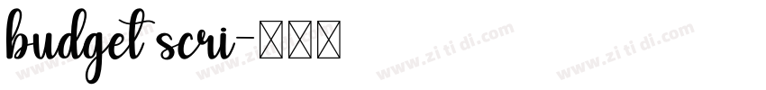 budget scri字体转换